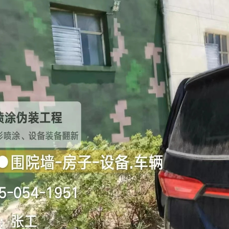 黑龙江数码迷彩漆施工